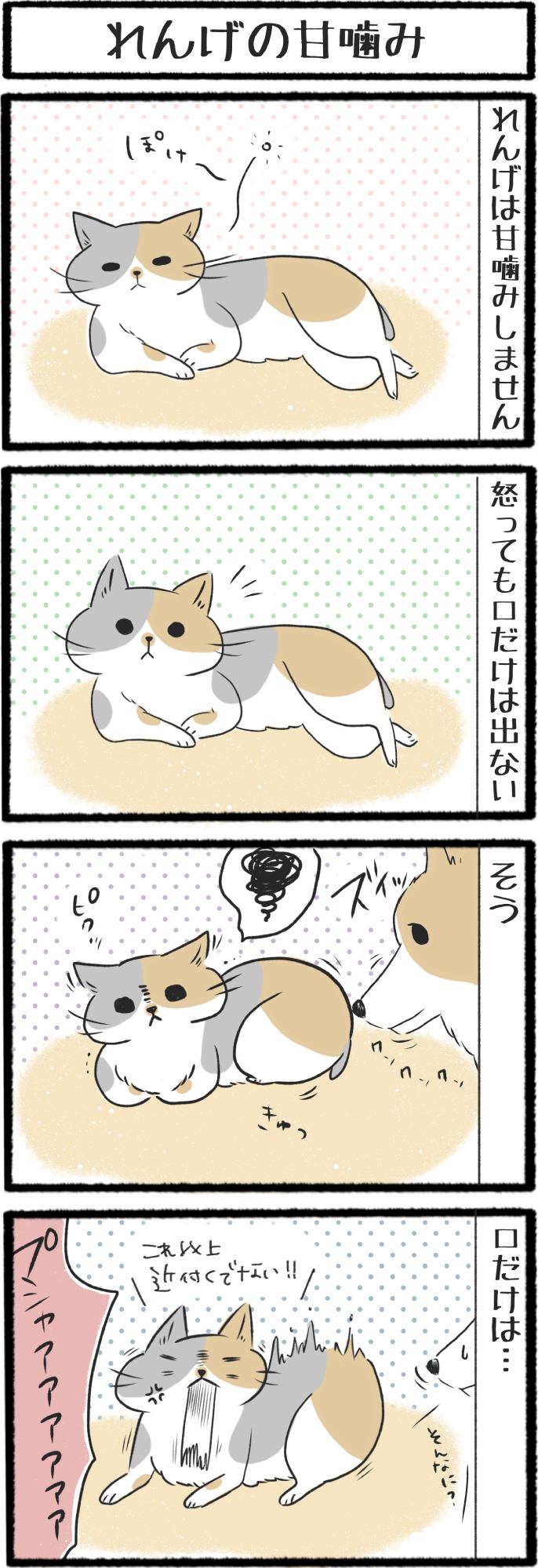 ねこよんコギわん第36話