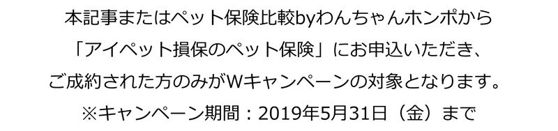 キャンペーン注意点