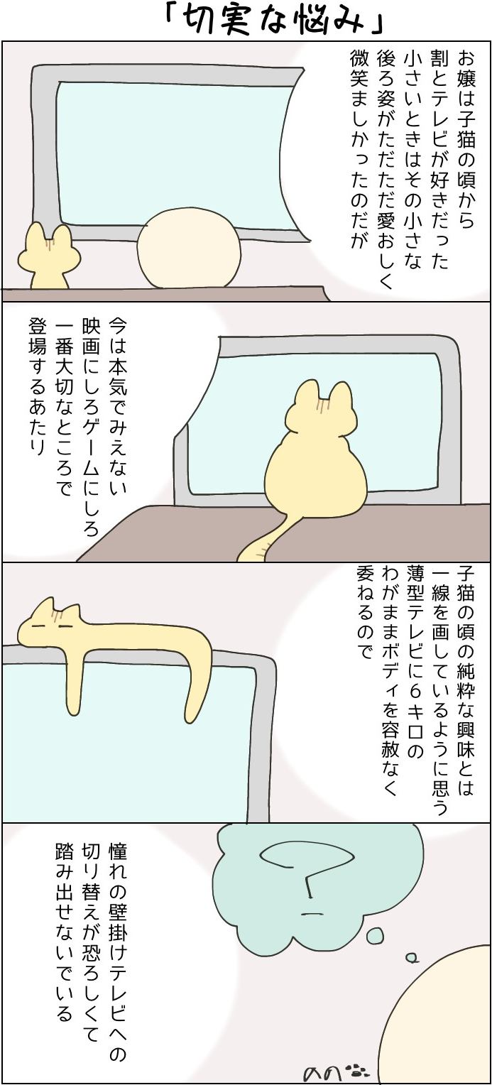 きょうも、お猫様はいとをかし。第35話