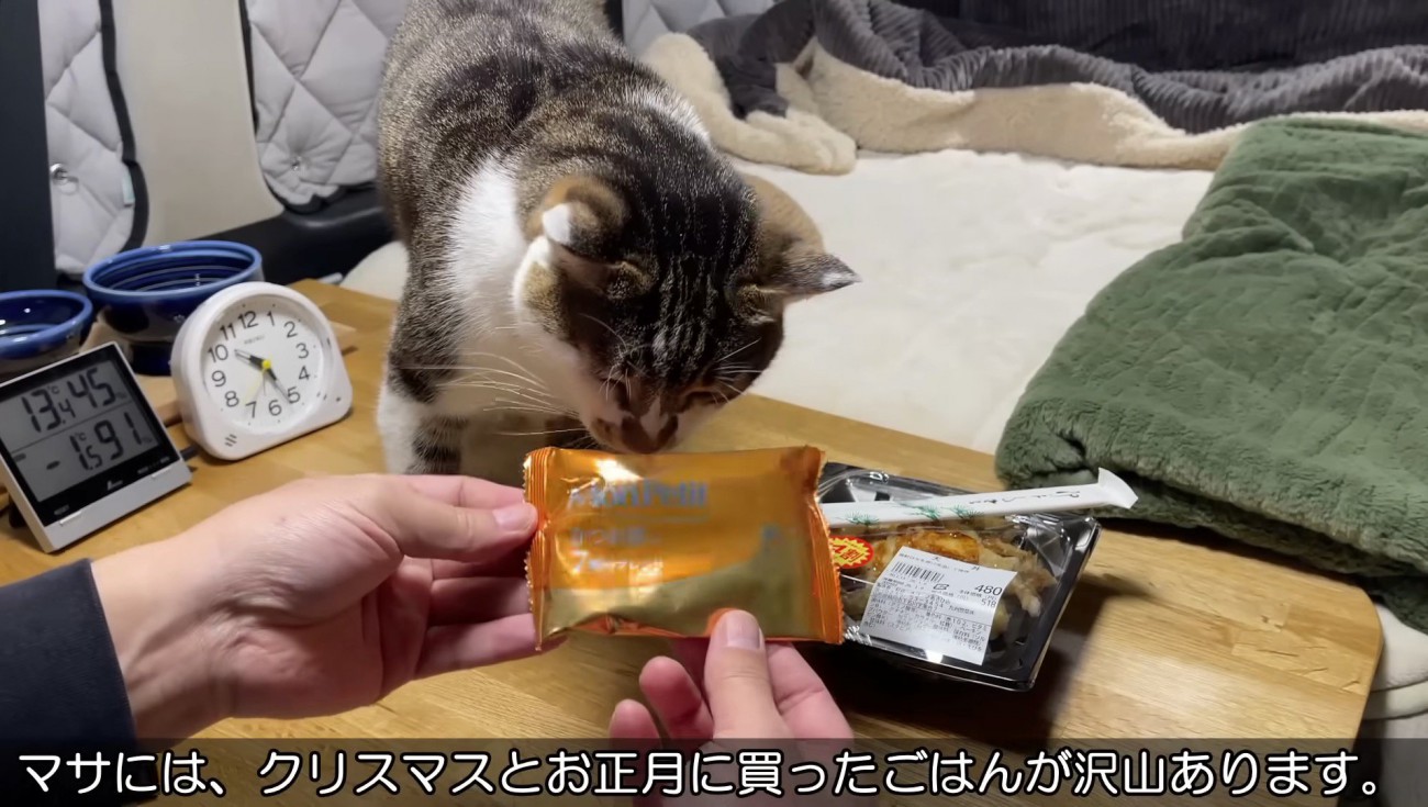 マサくんのご飯