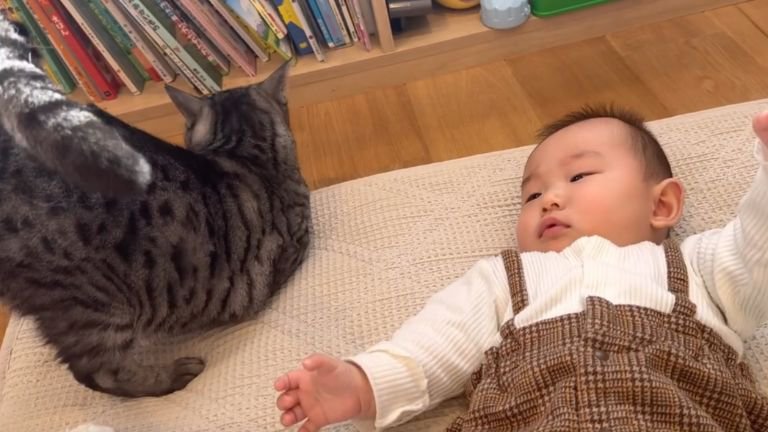猫と赤ちゃん