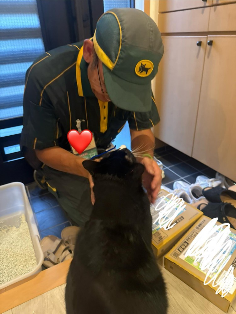 白黒猫とドライバー