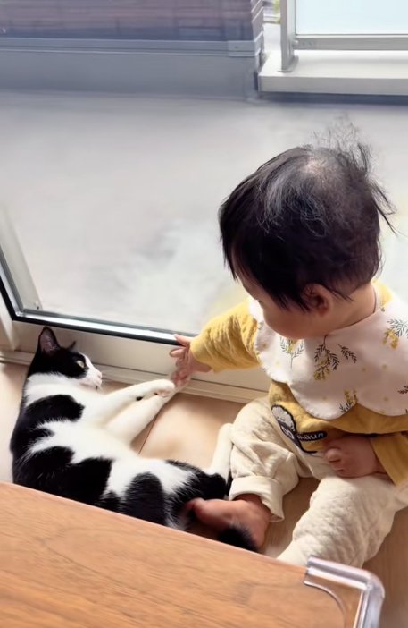 赤ちゃんの手に両前足を伸ばす寝転がった猫