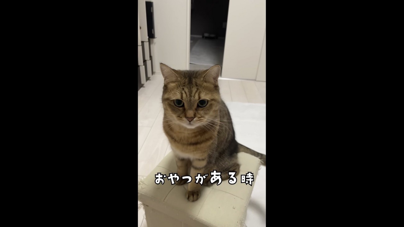 おやつがある時