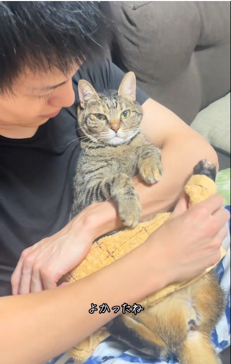 人に抱かれている猫