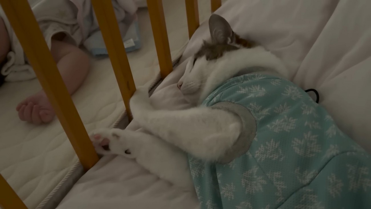赤ちゃんの隣にいる猫