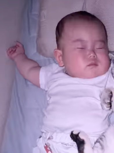 赤ちゃん