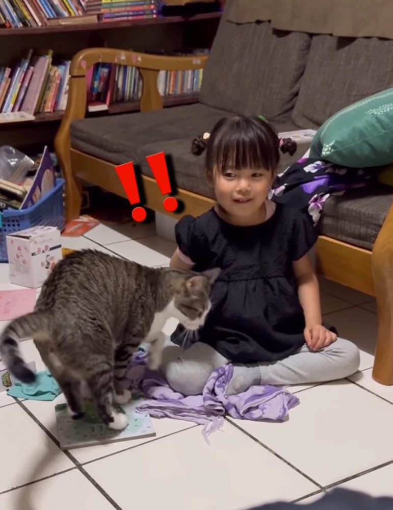 近づいてきた猫に驚きの表情を見せる女の子