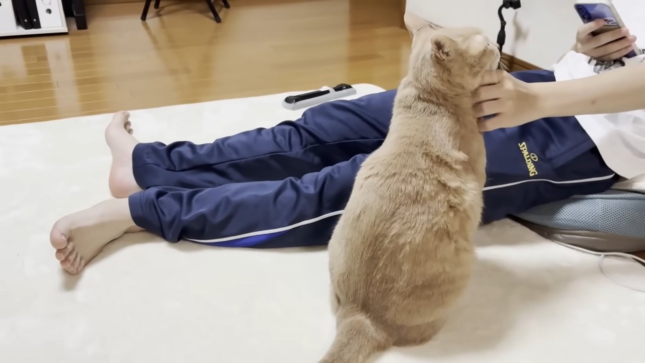 息子さん（ネイビーのジャージ）と猫ちゃん