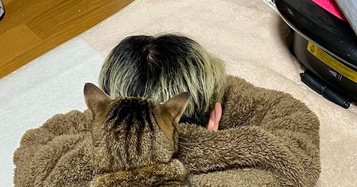 人の背中に乗る猫