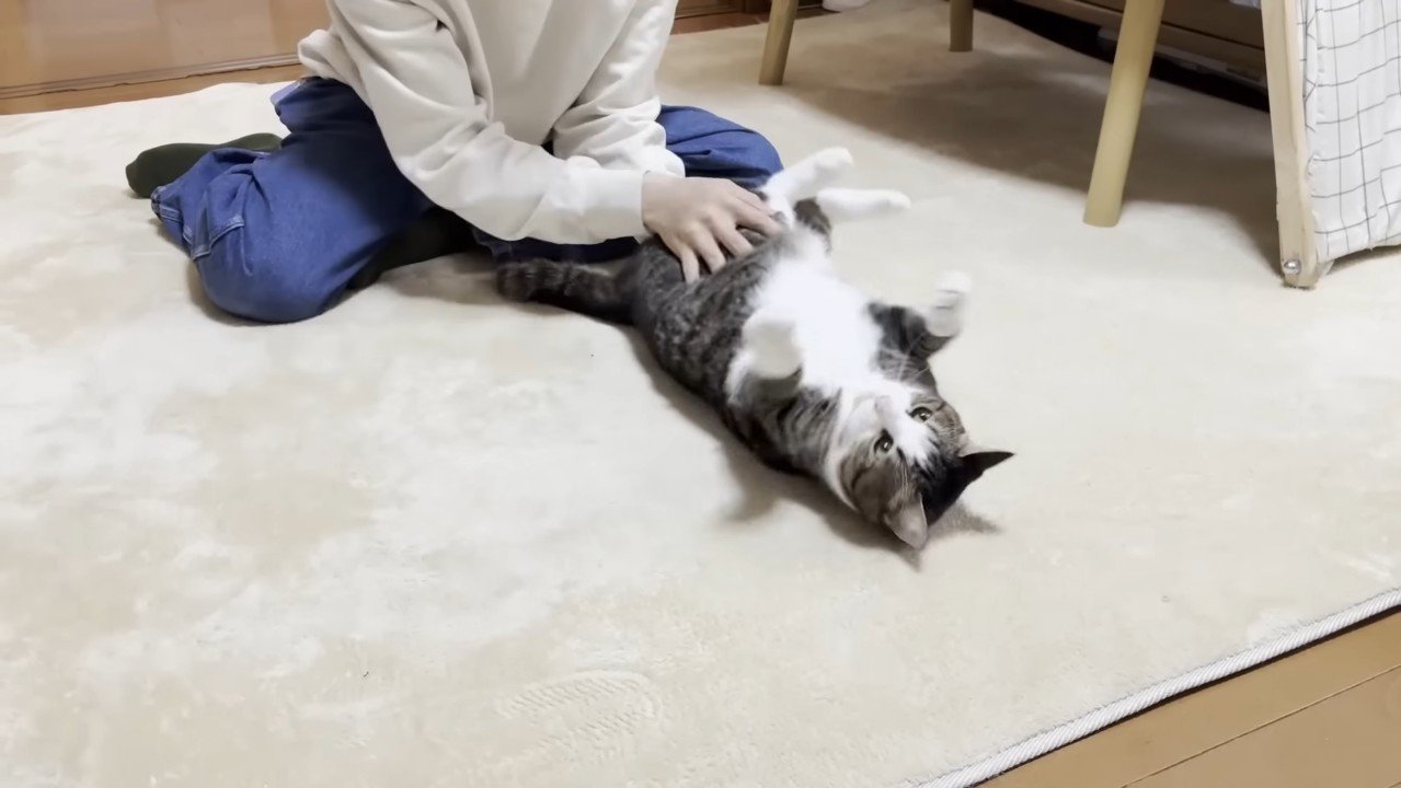 向かって右に転がされ中