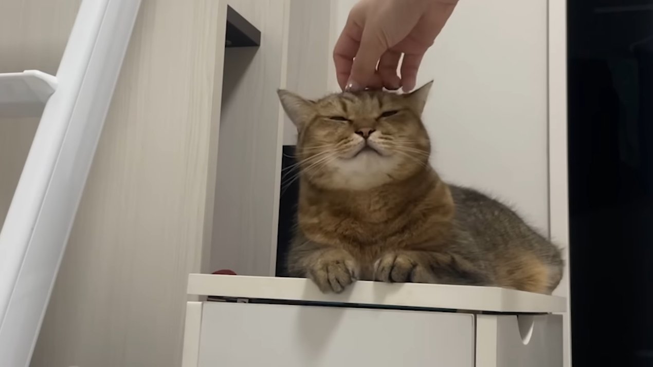 ヘッドマッサージ