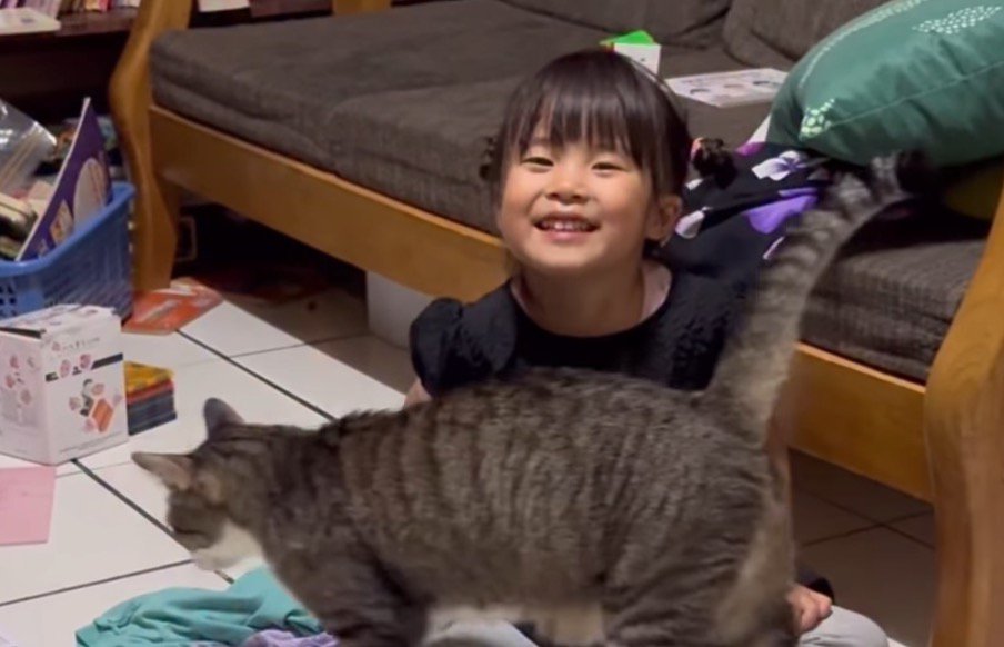 猫が近づいてきて笑顔になる女の子