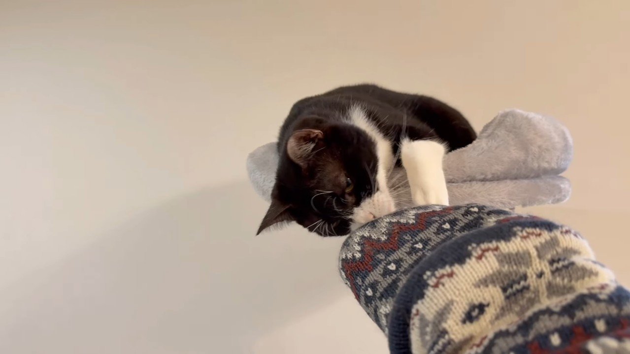 嗅ぐブッチャーくん