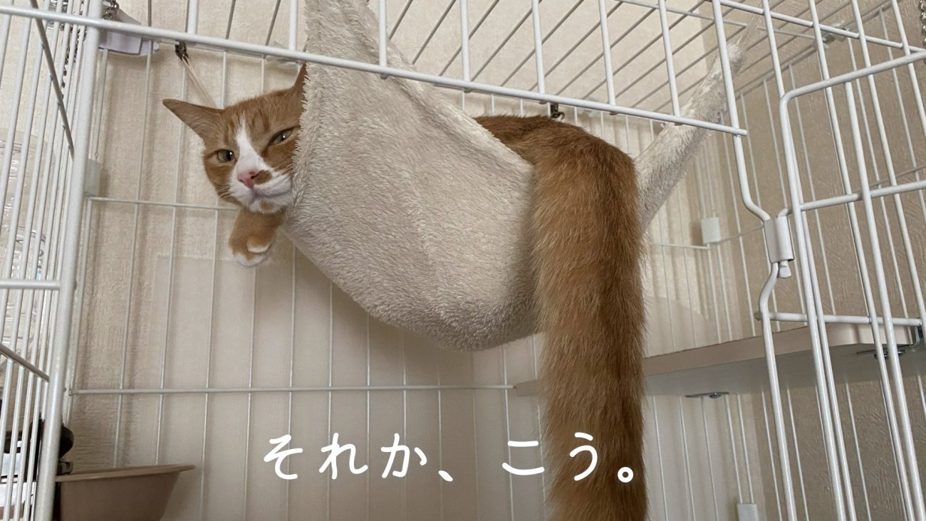 正しいハンモックの使い方2