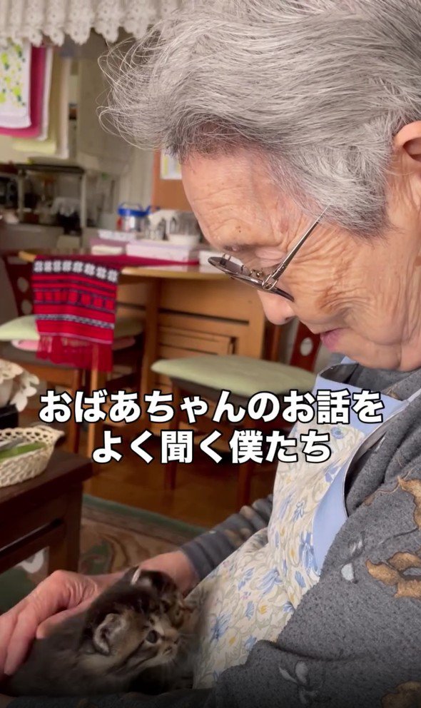 おばあちゃんと2匹の子猫