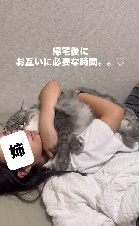 抱き着く猫