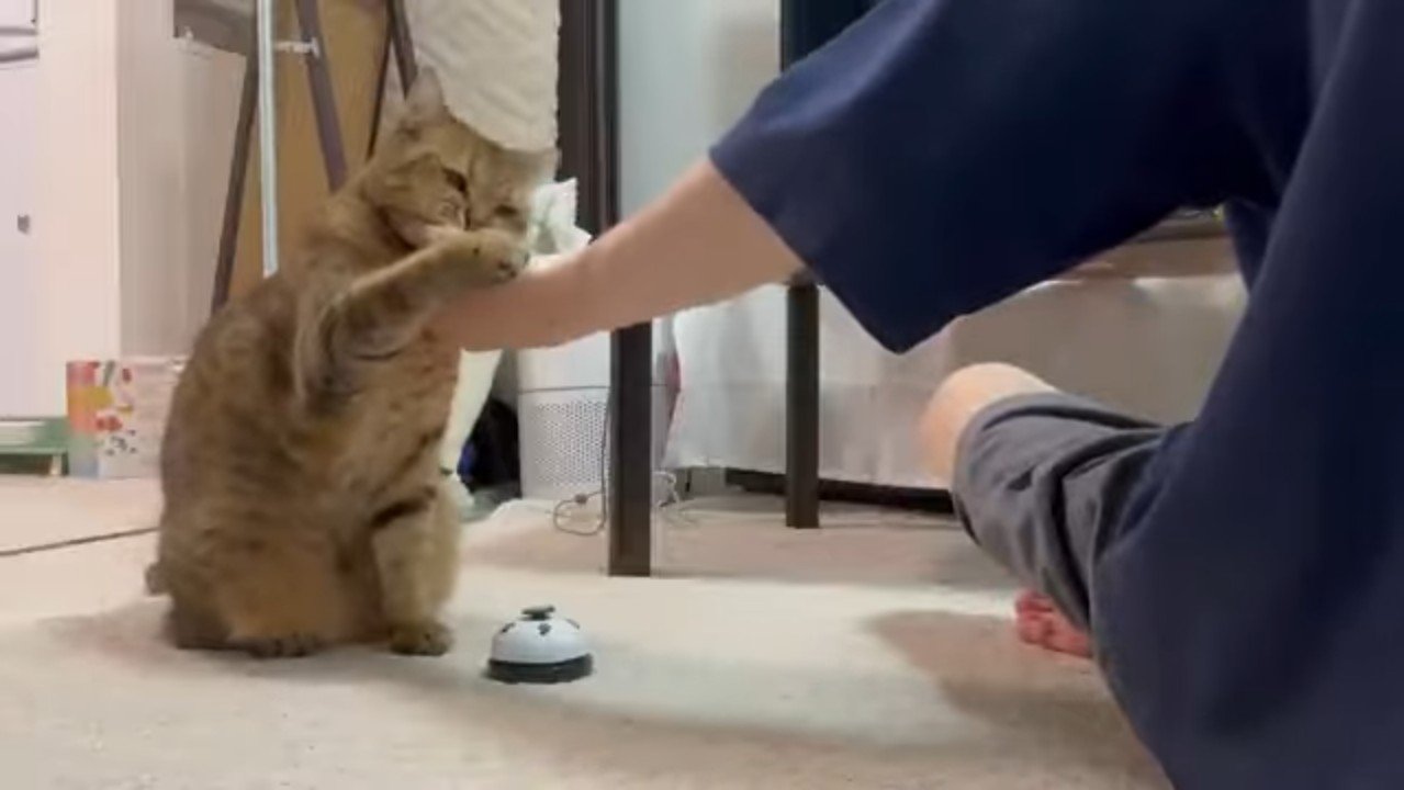 じゃれるふたり