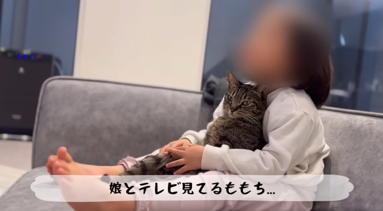 女の子に抱かれて猫