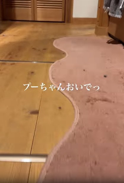 誰もいない廊下