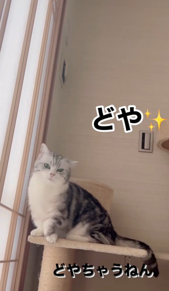 「どやちゃうねん」と書かれた写真
