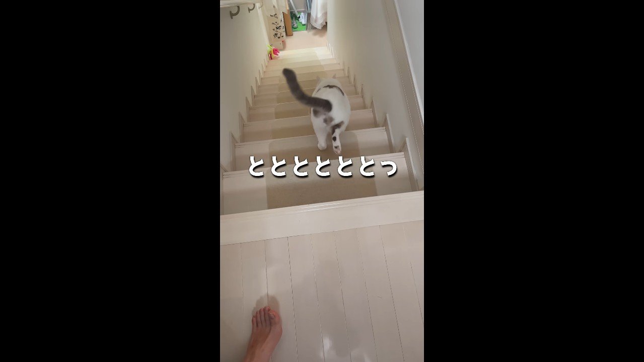 ととととととっ