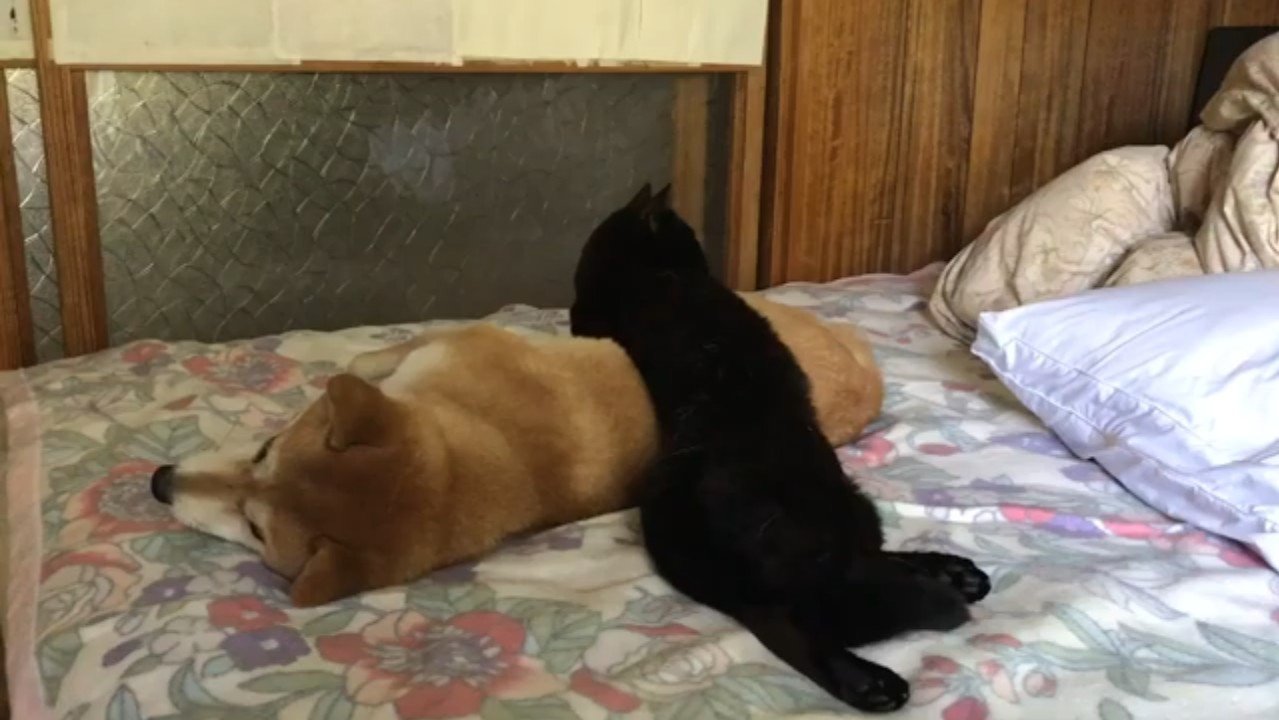 乗りながら横を向く天くん