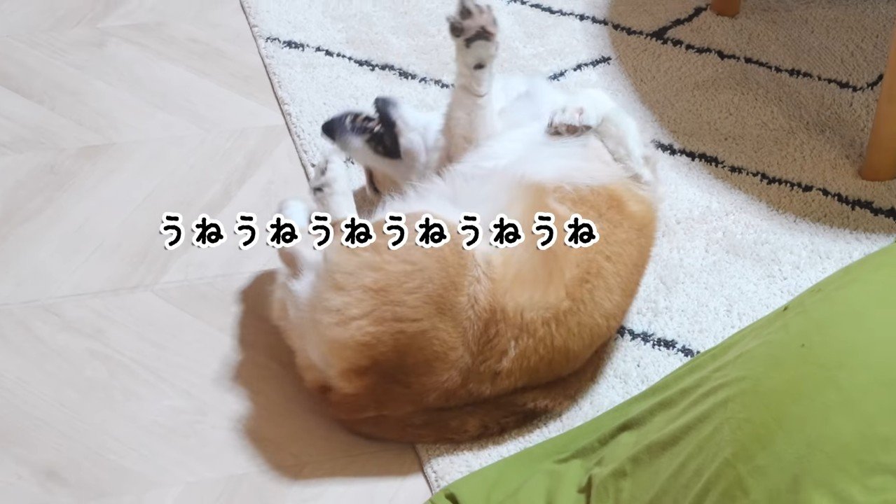 うねうね