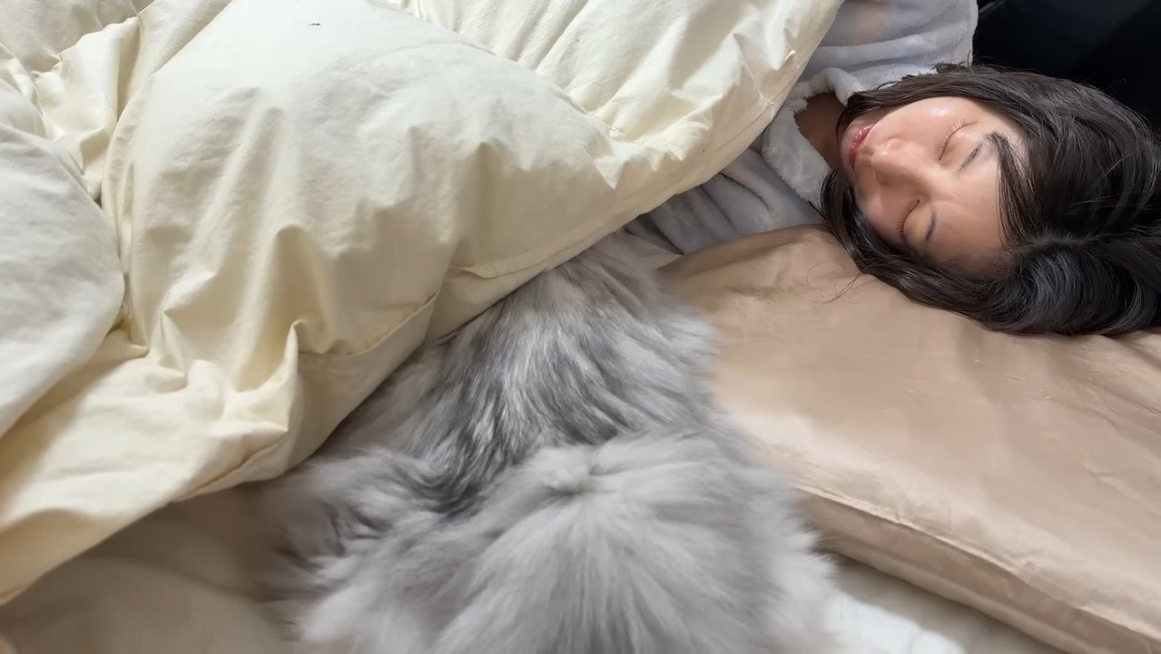 布団に頭を入れるしろがね丸くん