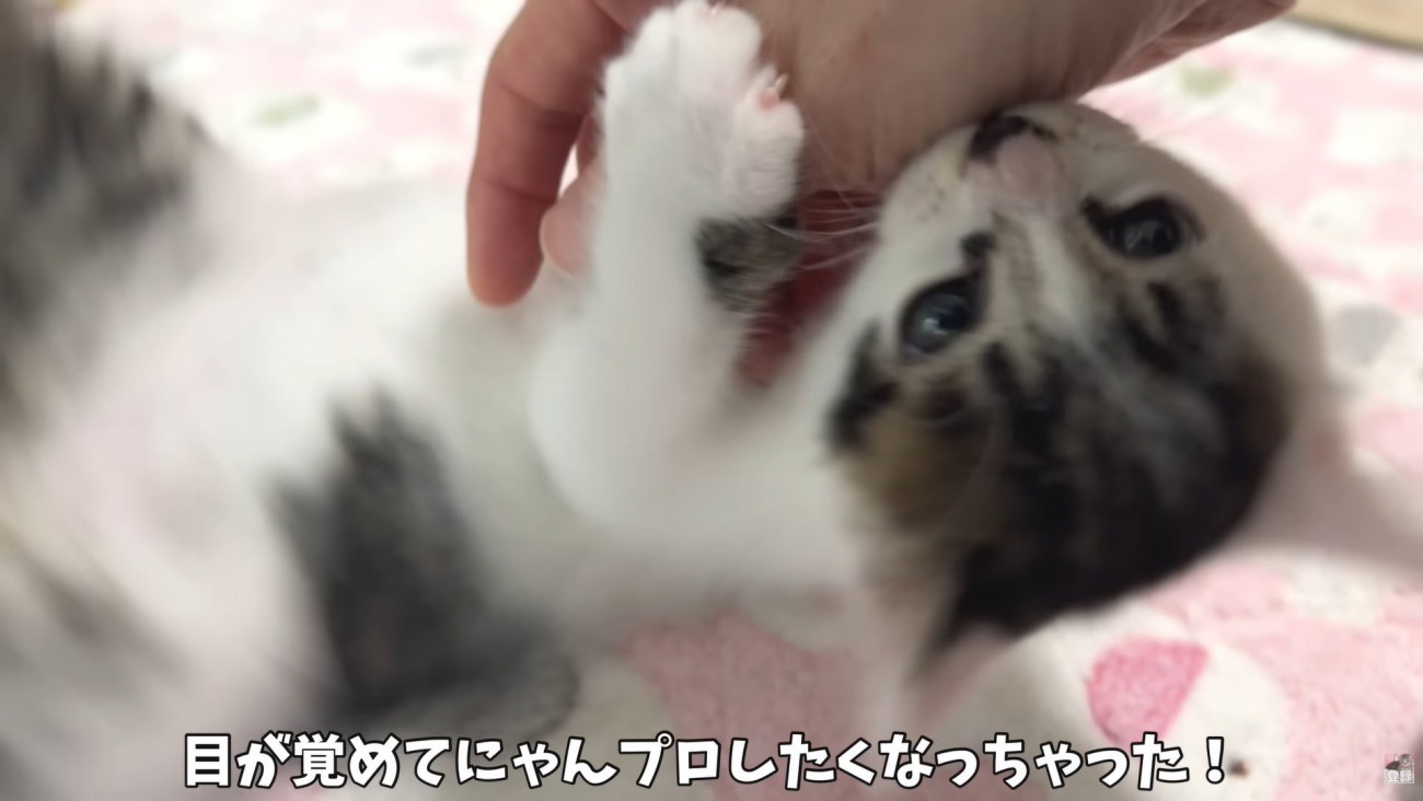 テロップ「目が覚めて～」