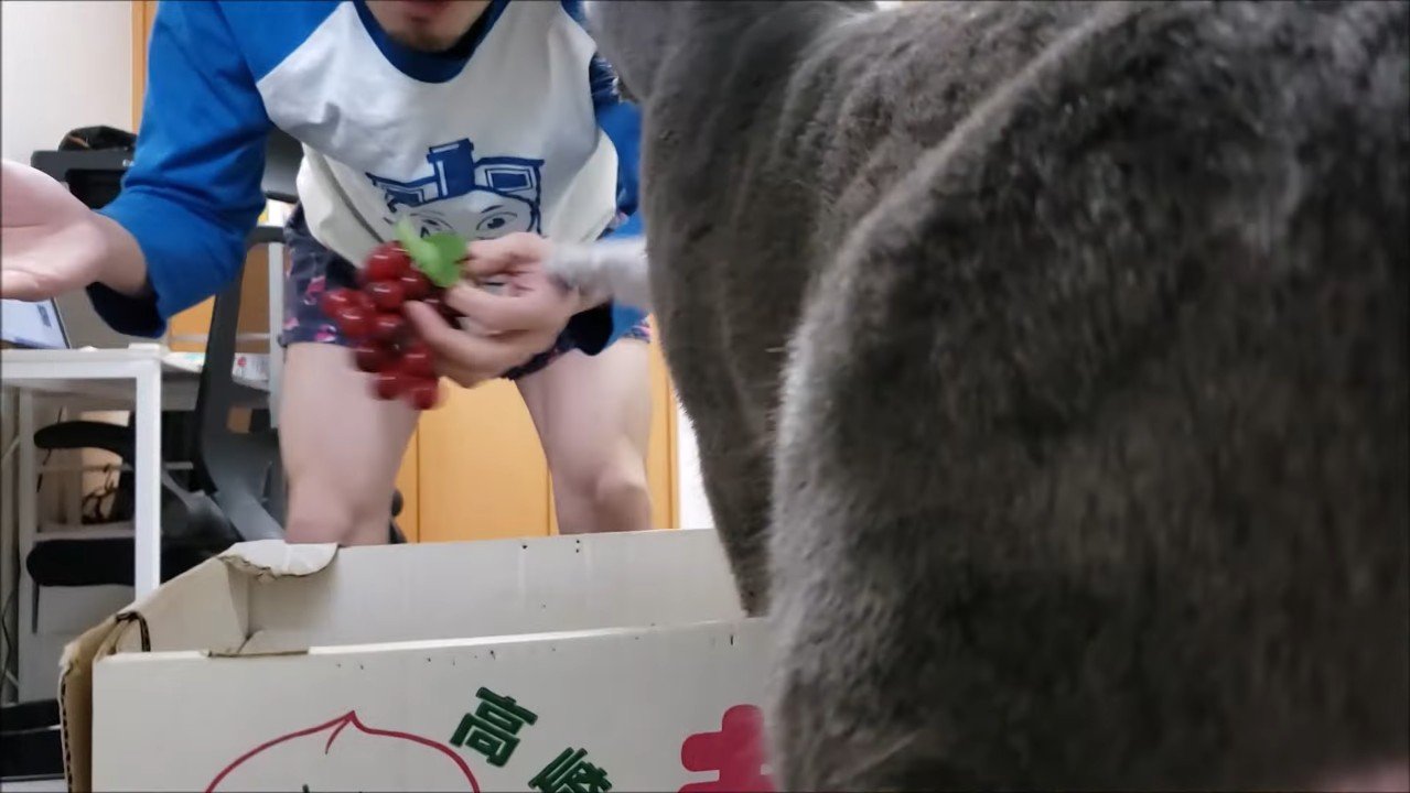 右前足でパンチ