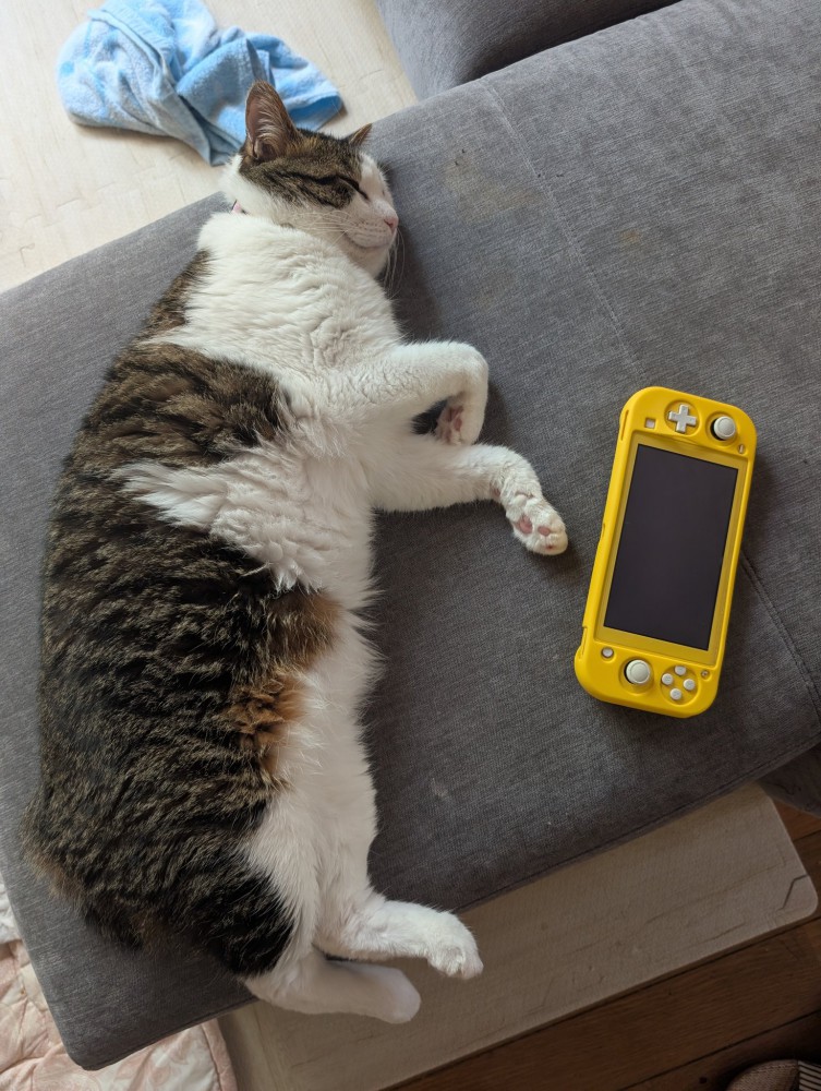 ゲーム機の横で寝る猫