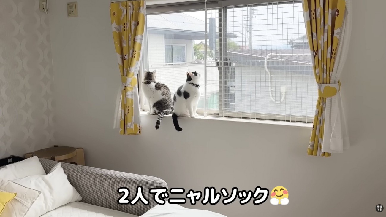 二人でニャルソック