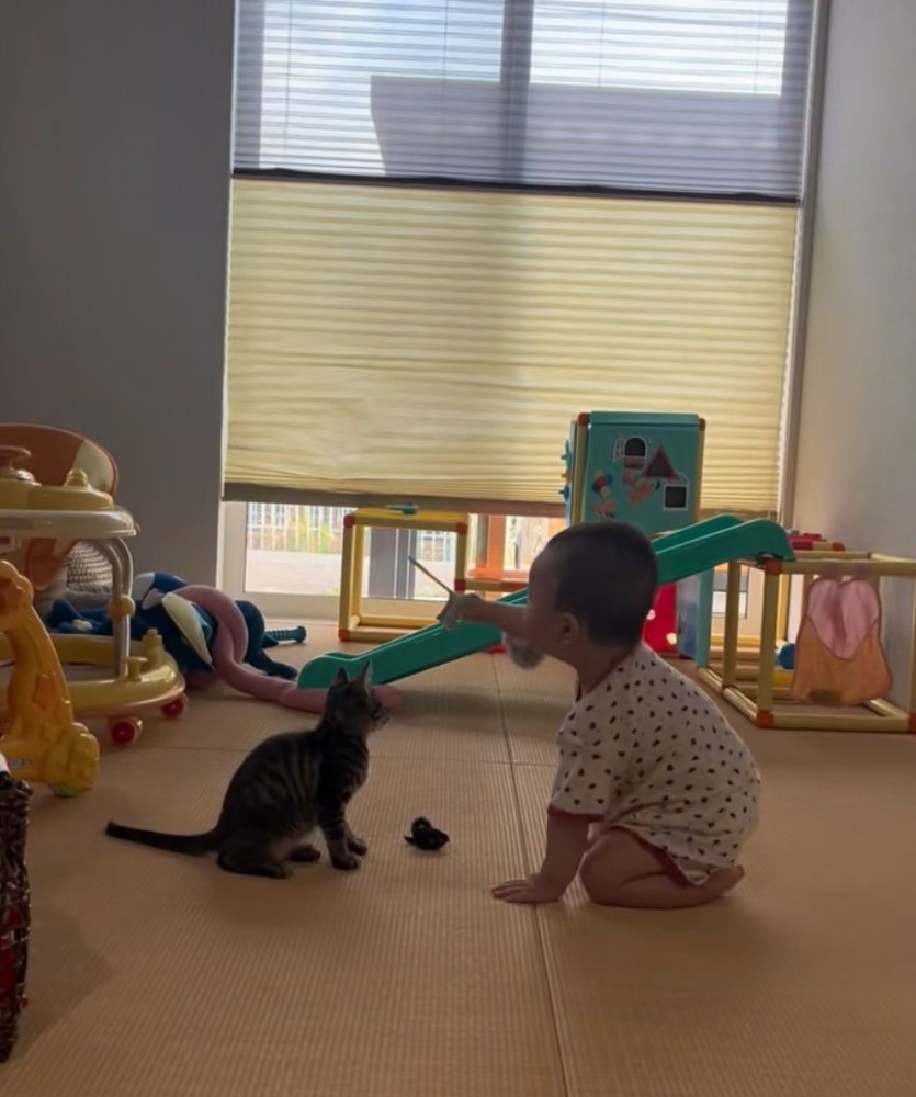 一緒に遊ぶ猫と赤ちゃん