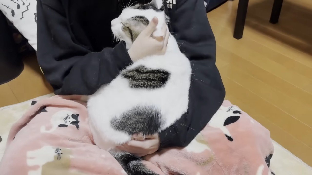 抱っこ(目を瞑る)