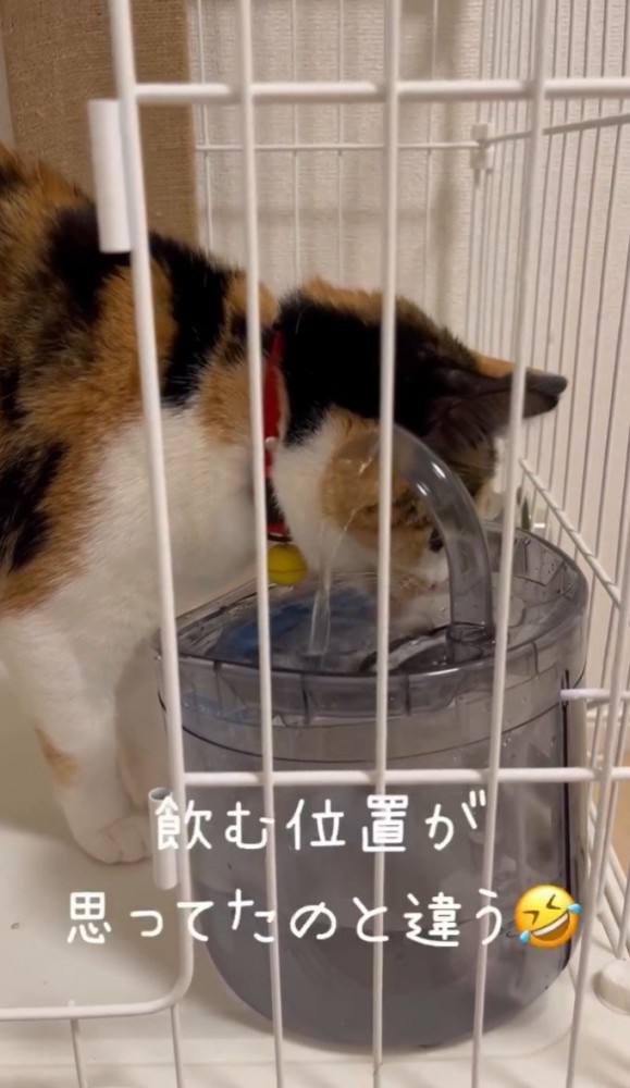 「飲む位置が…」と書かれている