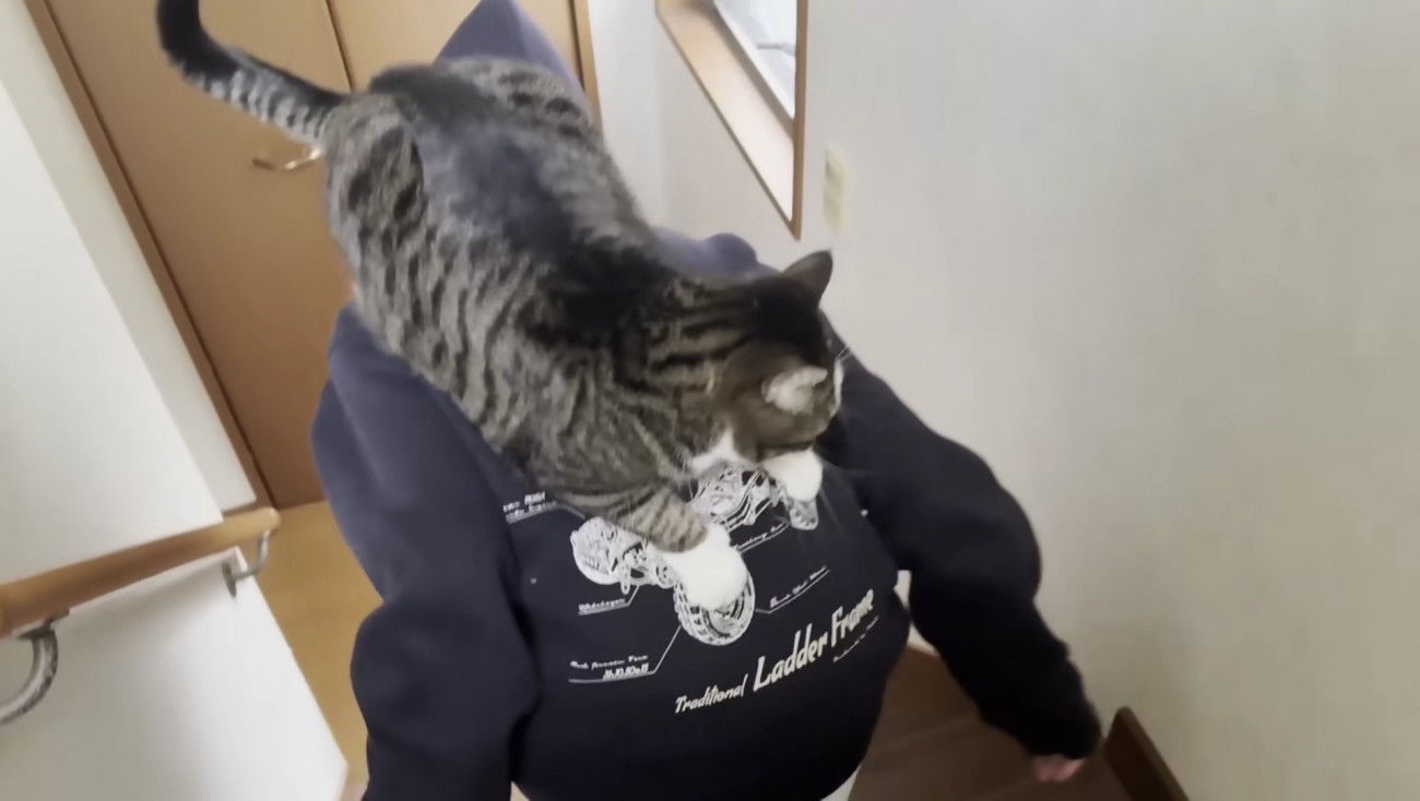 階段をおりていく娘さん