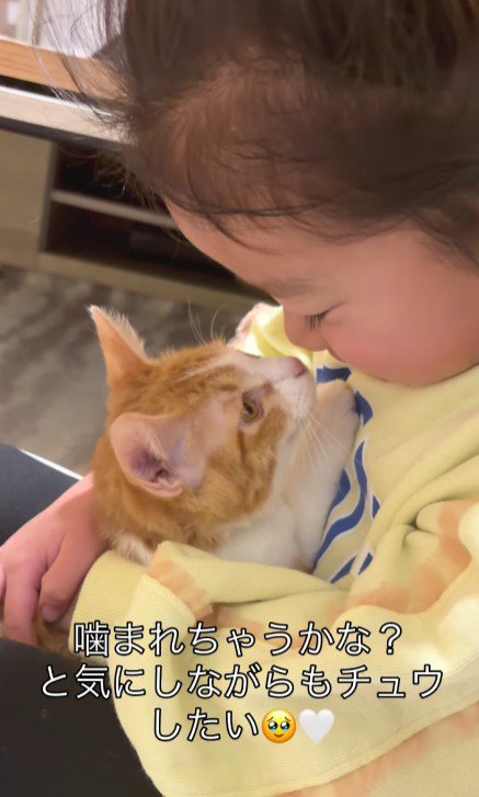 子猫を抱く女の子