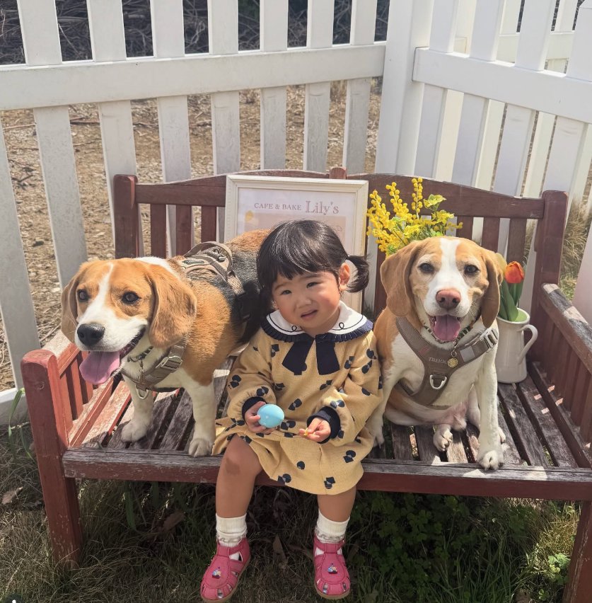 ベンチに座っている子供と2匹のビーグル