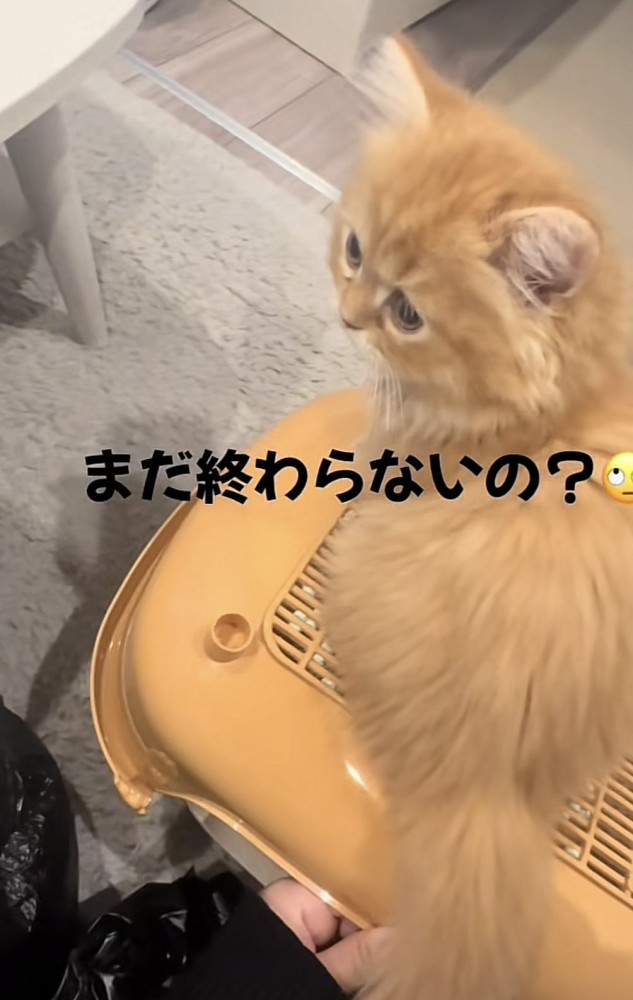 「まだ終わらないの？」のテロップ写真