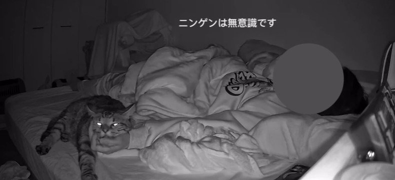 寝ている飼い主と猫