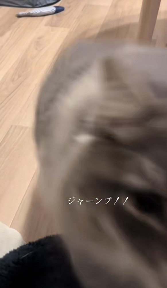 「ジャーンプ！！」のテロップ写真