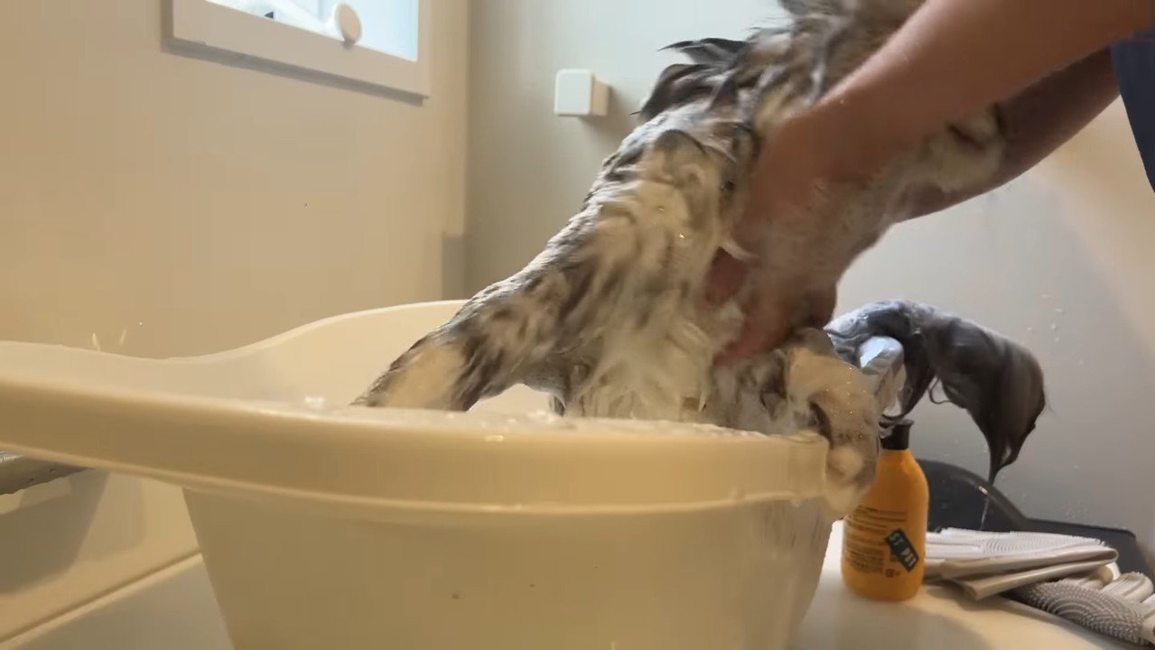 フチを掴んで