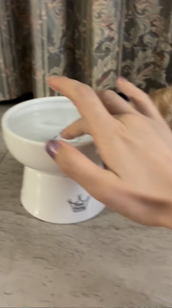 水皿の水を指に付ける飼い主さん