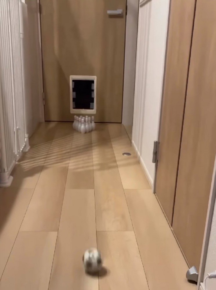 ピンに向かって進む小さなサッカーボール