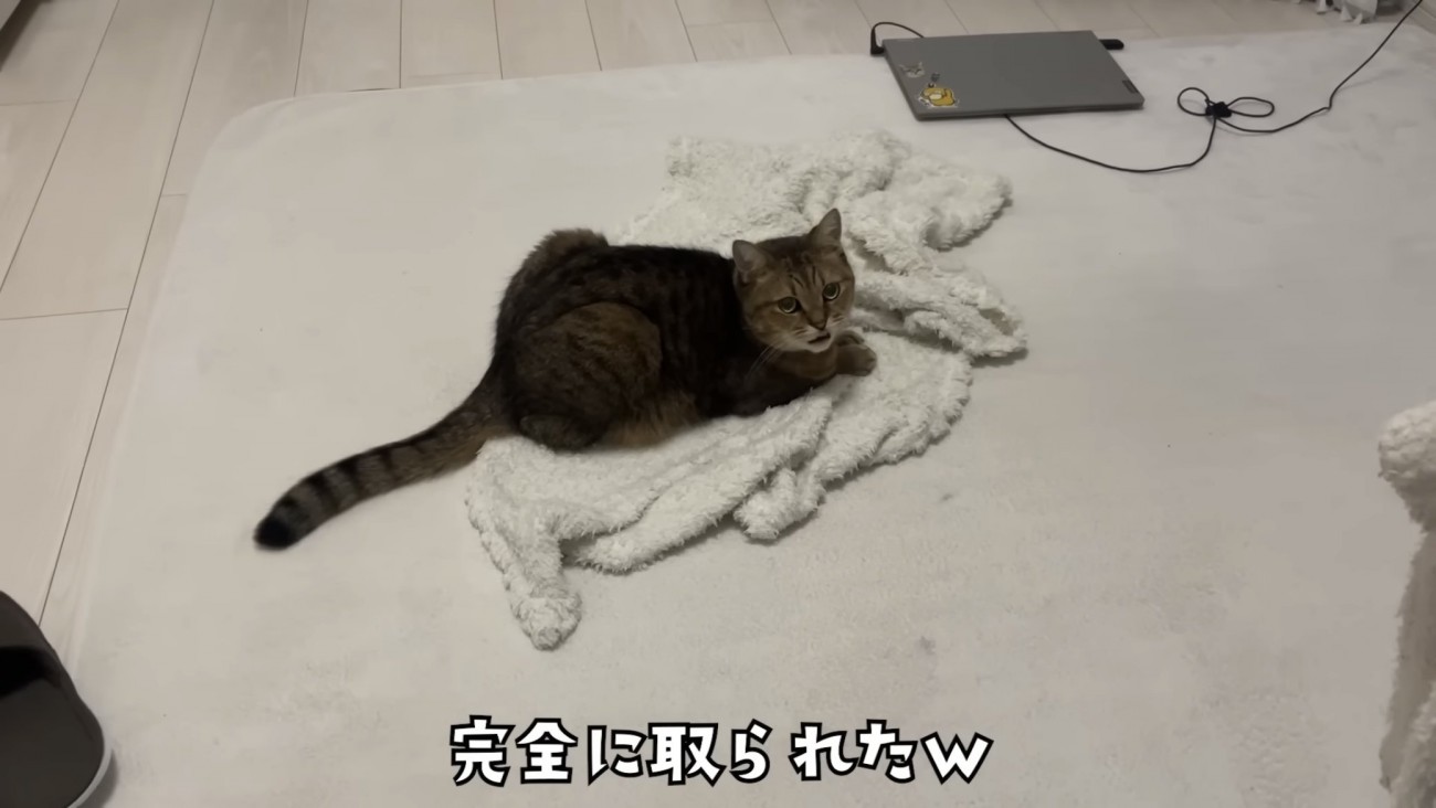 「完全に取られたｗ」のテロップ写真