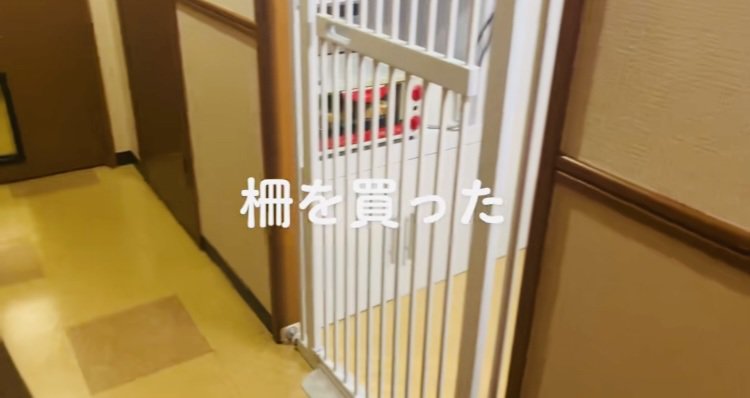 子猫がキッチンに入らないように設置された柵