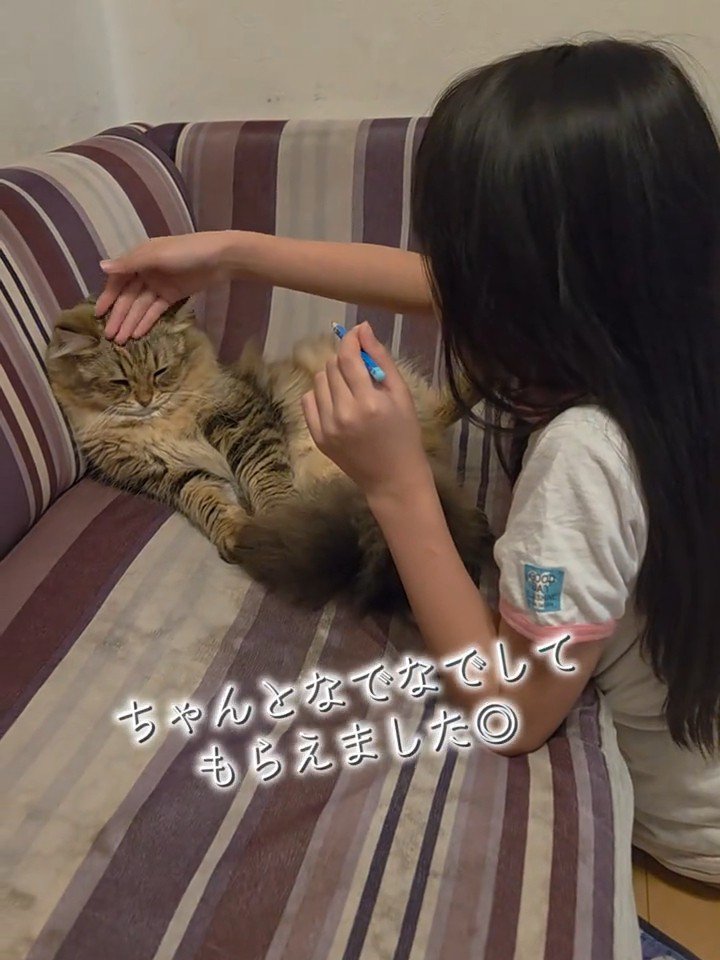 なでられる猫