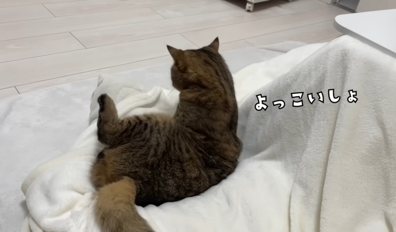 座りなおすのに成功したみにらくん