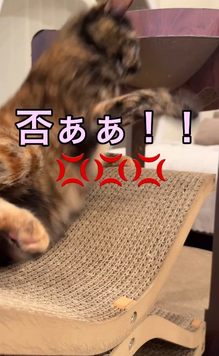 拒否